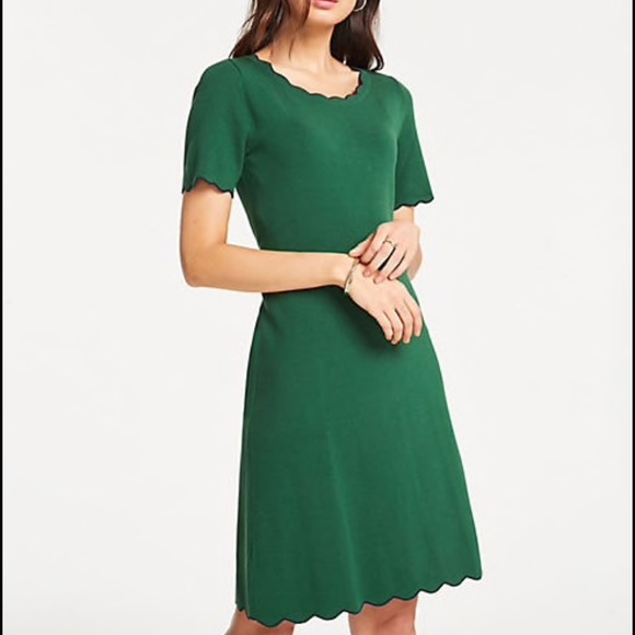 Ann Taylor Petite Scalloped Sweater Dress - Picture 6 of 12